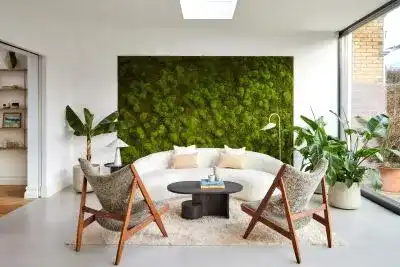 How to make your home more healthy